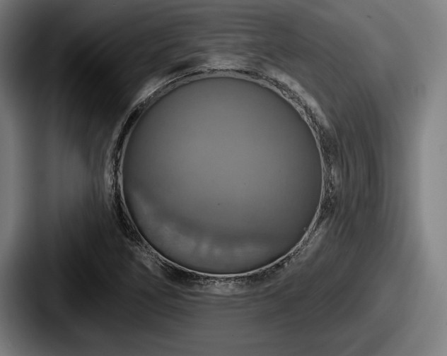 X0000087701266200705111356