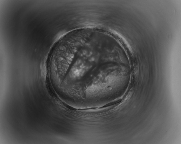 X0000087701267200705111356