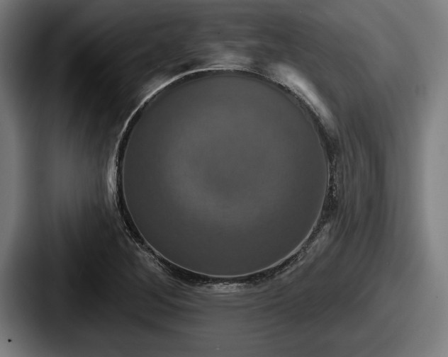 X0000087701268200705111356