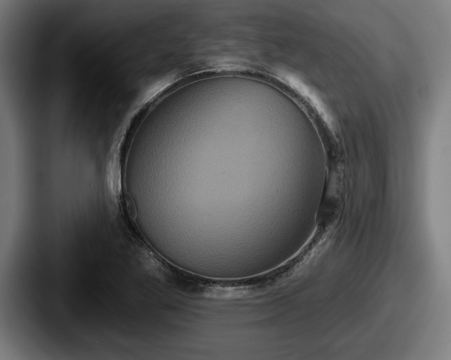 X0000087701269200705111356