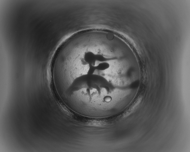 X0000087701271200705111356