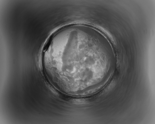 X0000087701272200705111356