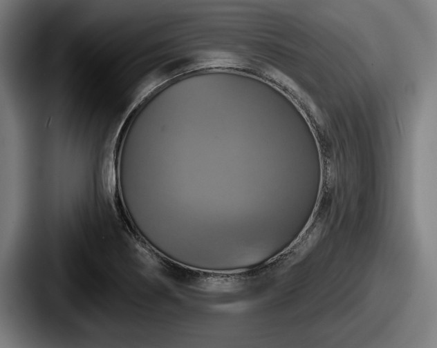 X0000087701274200705111356