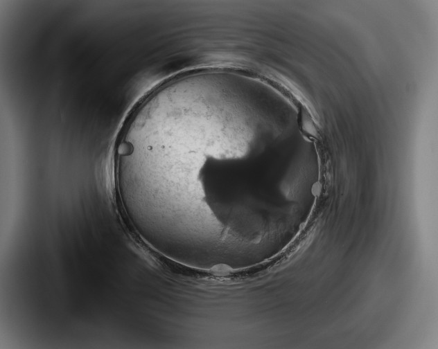 X0000087701275200705111356