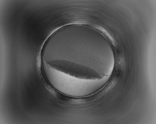 X0000087701276200705111356