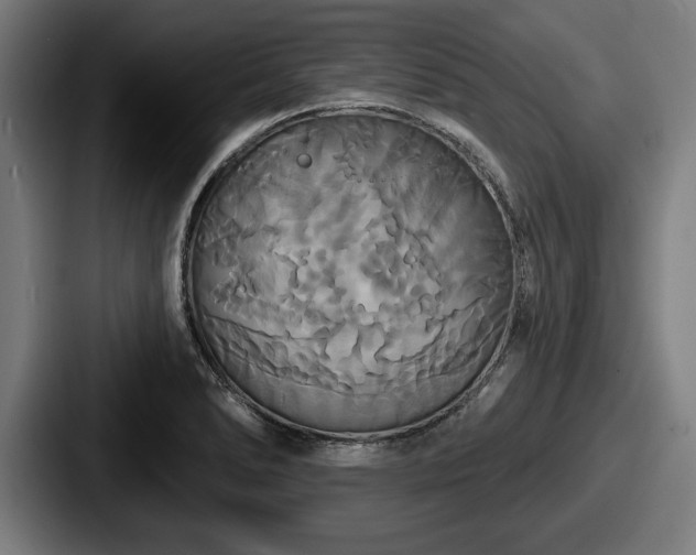 X0000087701278200705111356