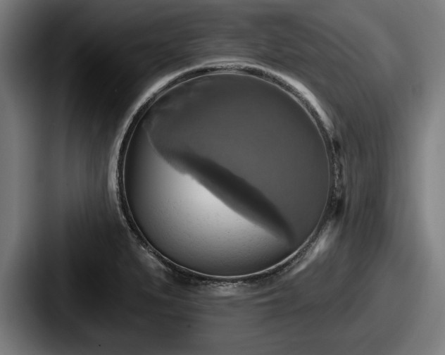 X0000087701279200705111356