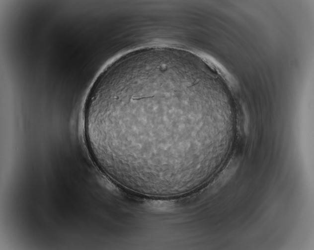 X0000087701280200705111356