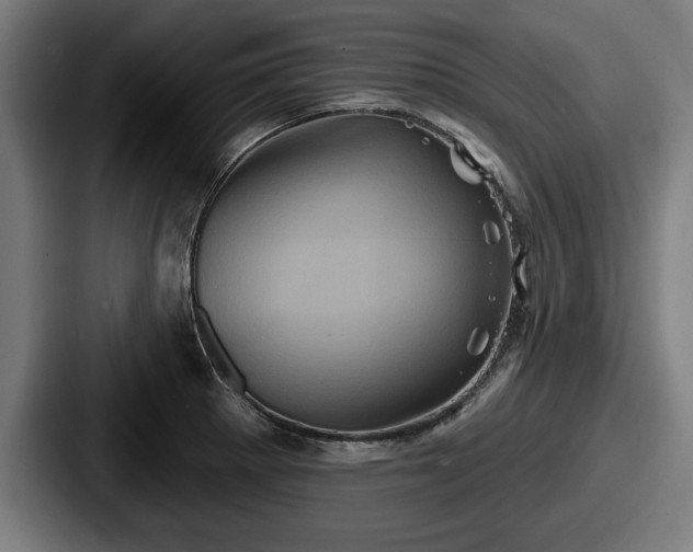 X0000087701281200705111356