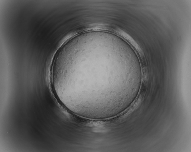 X0000087701282200705111356