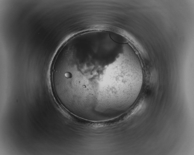 X0000087701283200705111356