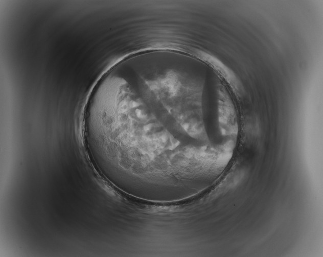 X0000087701284200705111356