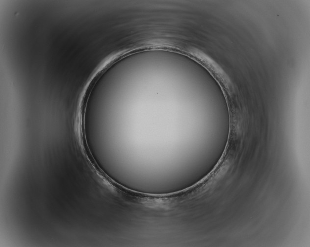 X0000087701286200705111356