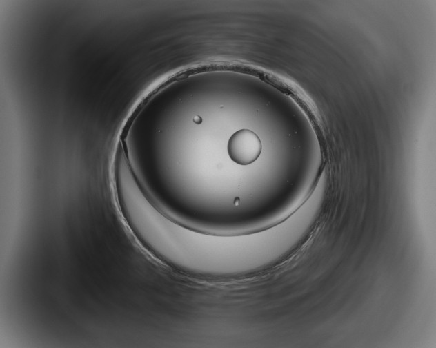 X0000087701287200705111356