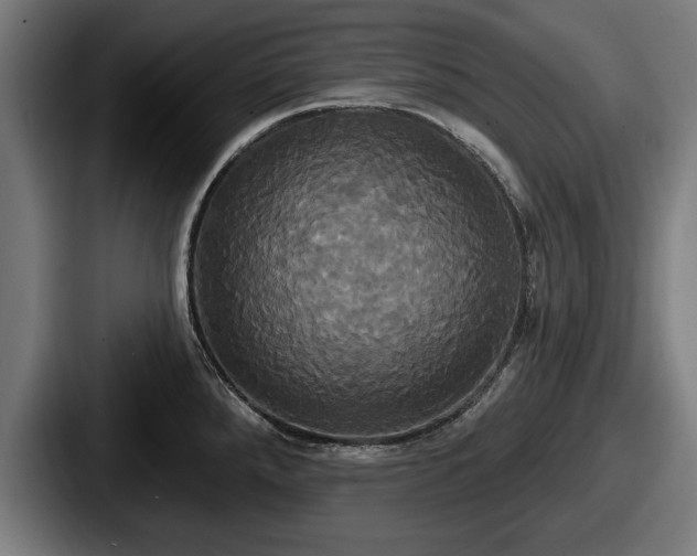 X0000087701288200705111356