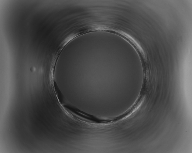 X0000087701289200705111356