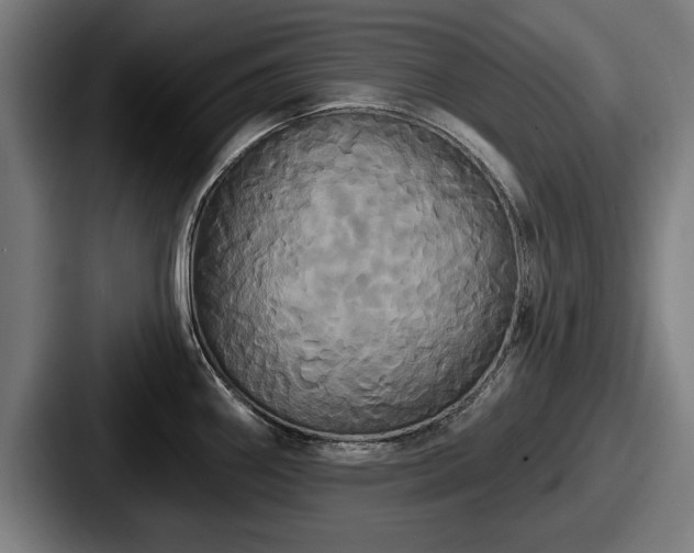 X0000087701290200705111356