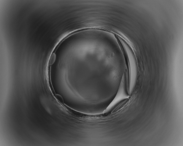 X0000087701291200705111356