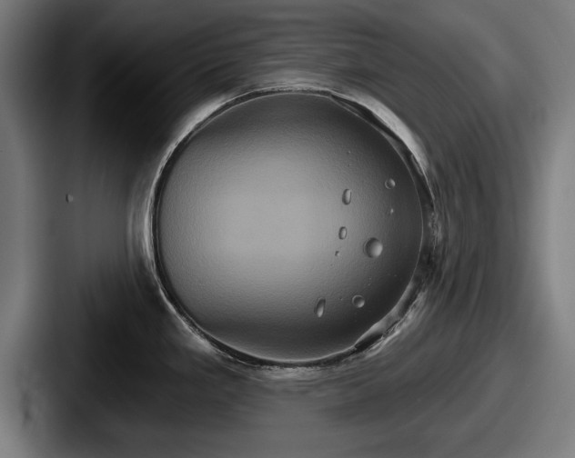 X0000087701293200705111356