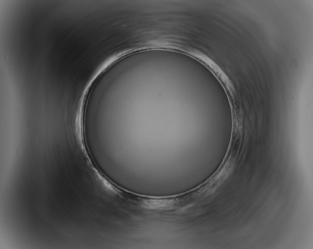 X0000087701294200705111356