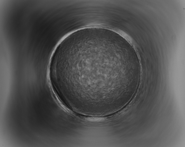 X0000087701296200705111356