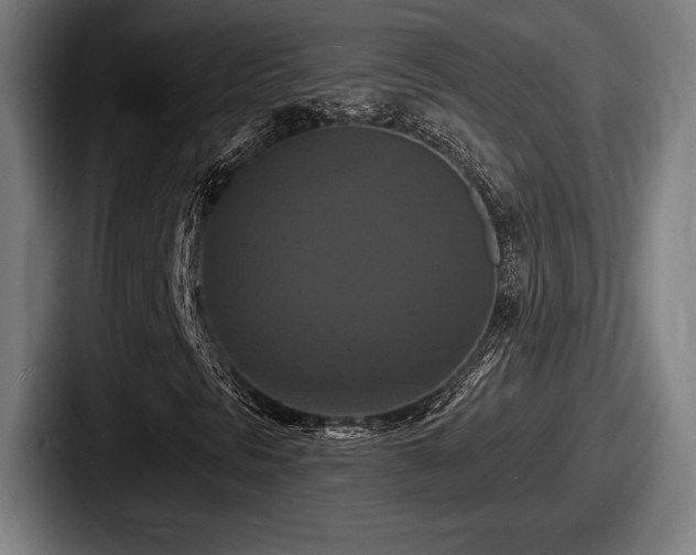 X0000087701297200705111355