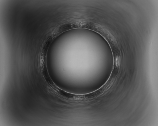 X0000087701299200705111356