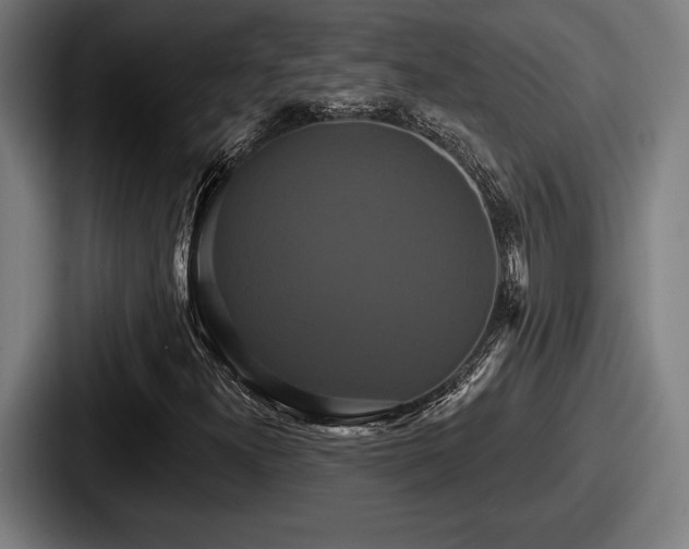 X0000087701300200705111356