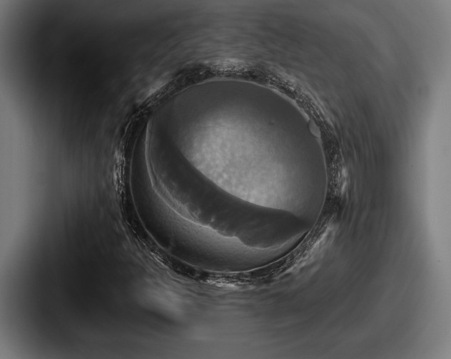 X0000087701301200705111356