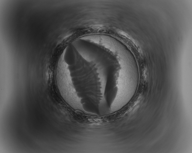 X0000087701302200705111356