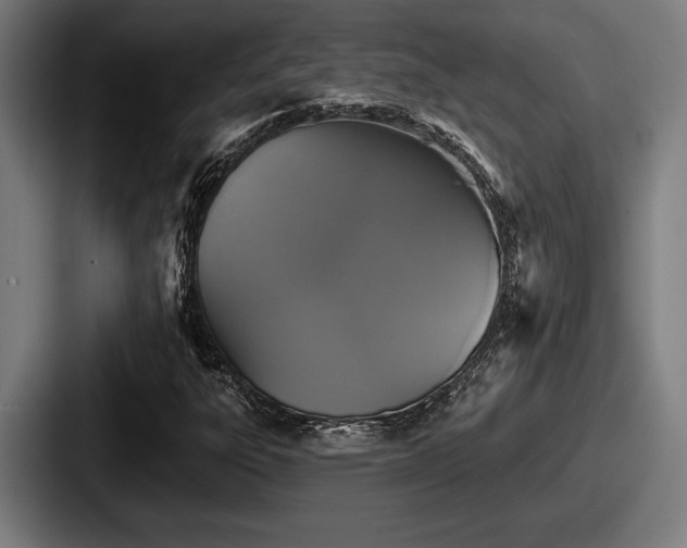 X0000087701303200705111356