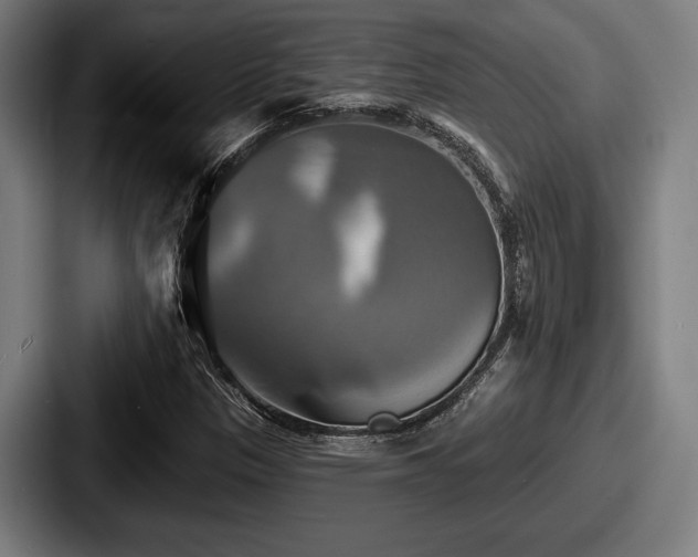 X0000087701305200705111356