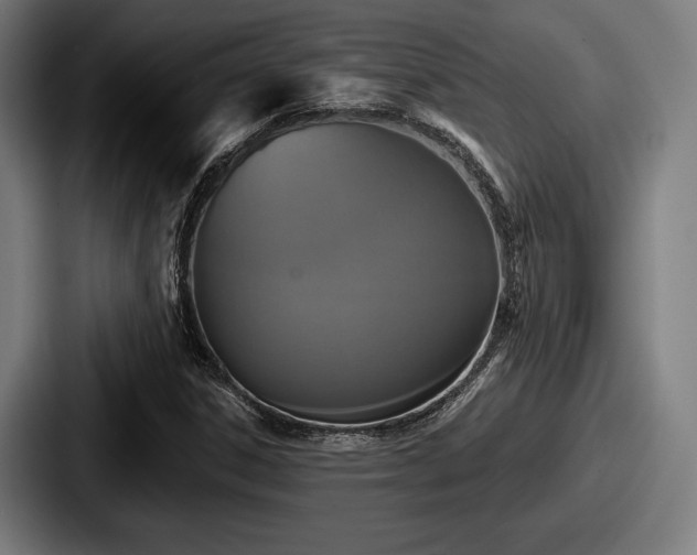 X0000087701306200705111356