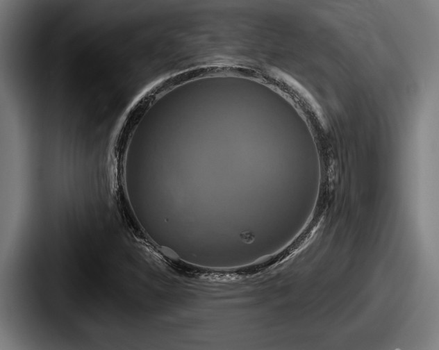 X0000087701310200705111356