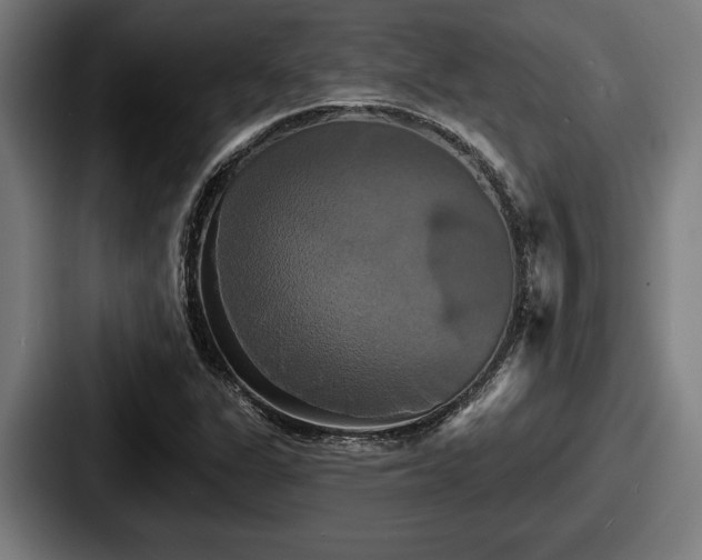 X0000087701311200705111356