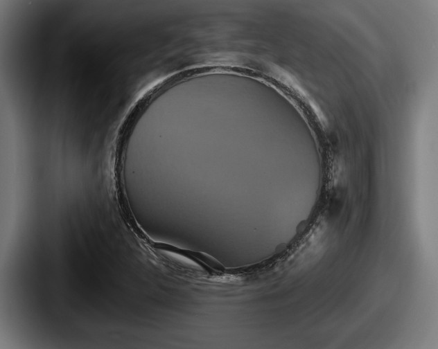 X0000087701312200705111356