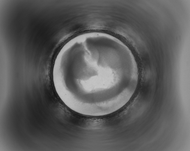 X0000087701314200705111356