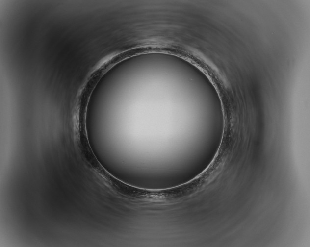 X0000087701315200705111356