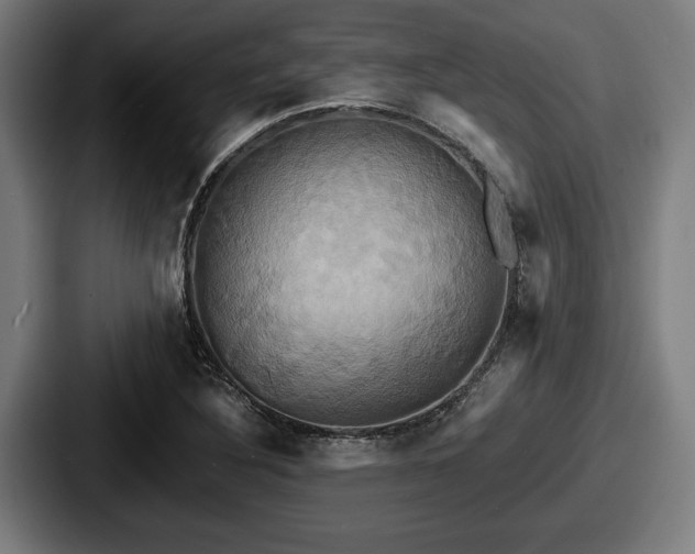 X0000087701316200705111356