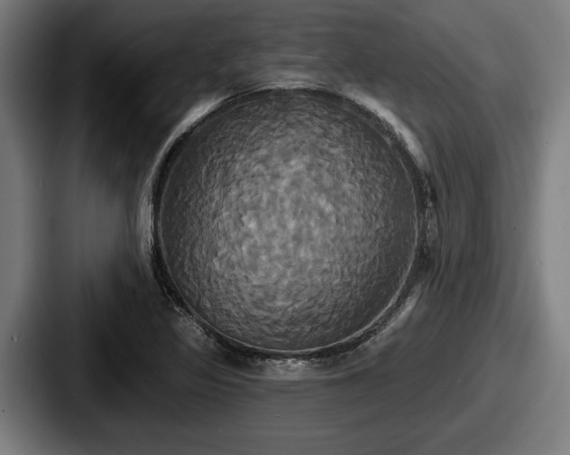 X0000087701317200705111356