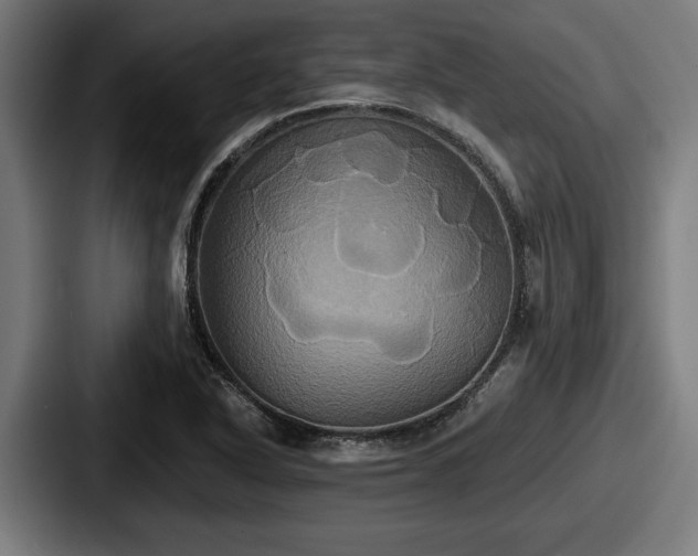 X0000087701318200705111356