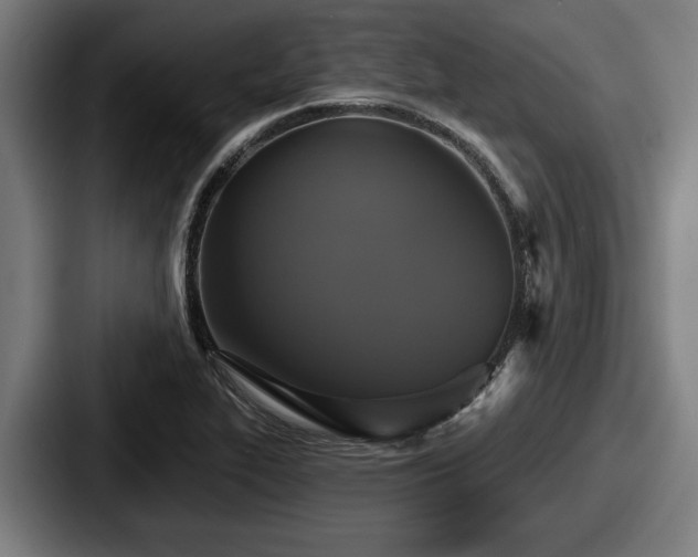 X0000087701319200705111356