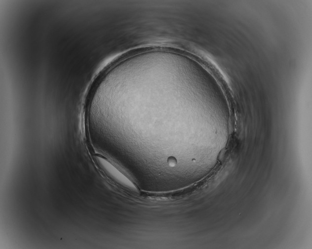 X0000087701320200705111356