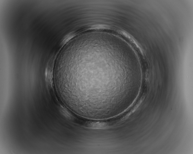 X0000087701321200705111356