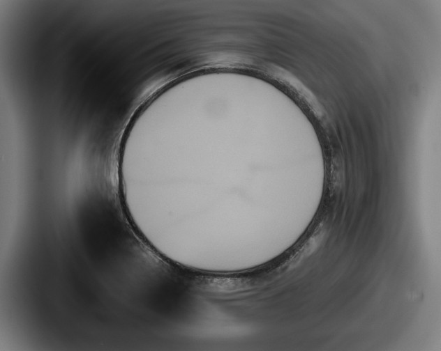 X0000087701322200705111356