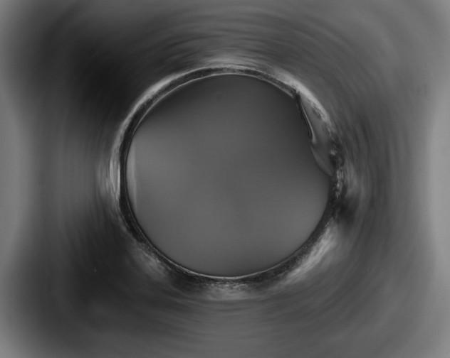 X0000087701323200705111356