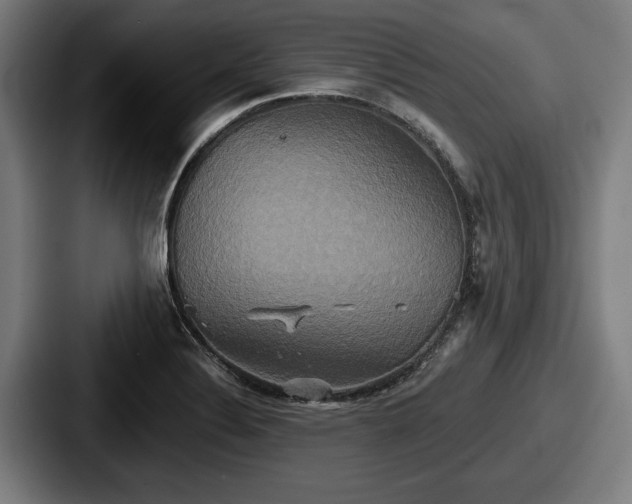 X0000087701324200705111356