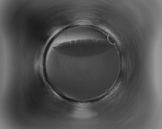 X0000087701325200705111356