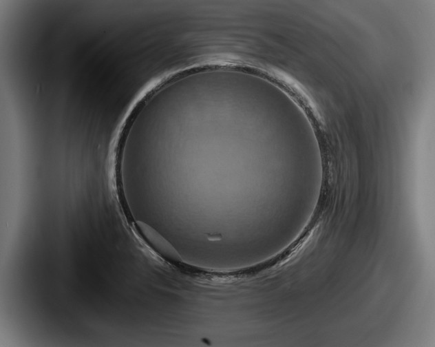 X0000087701326200705111356