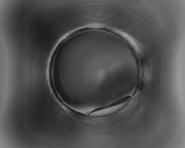 X0000087701327200705111356